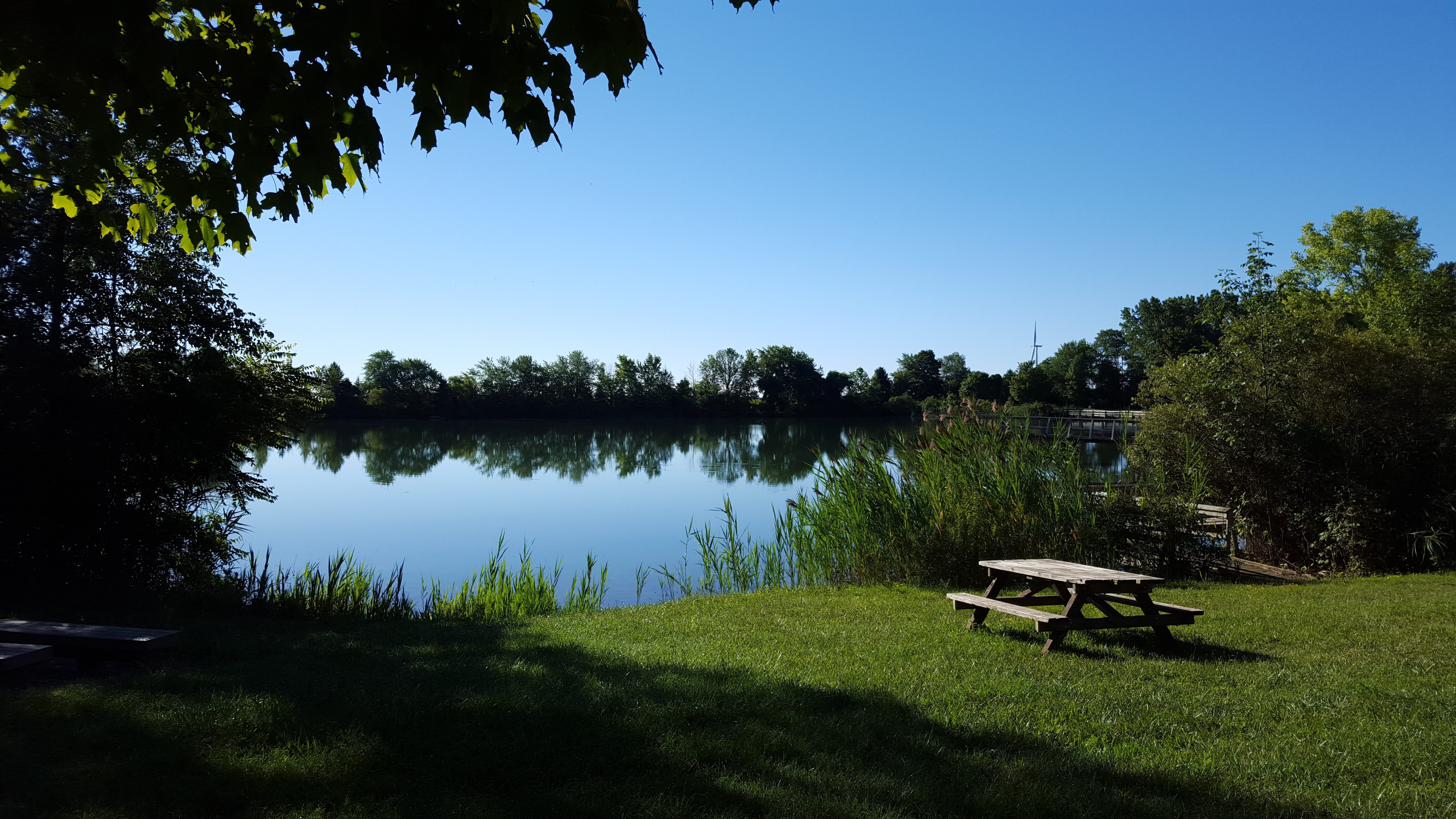 pond at C.M. Wilson Conservation Area