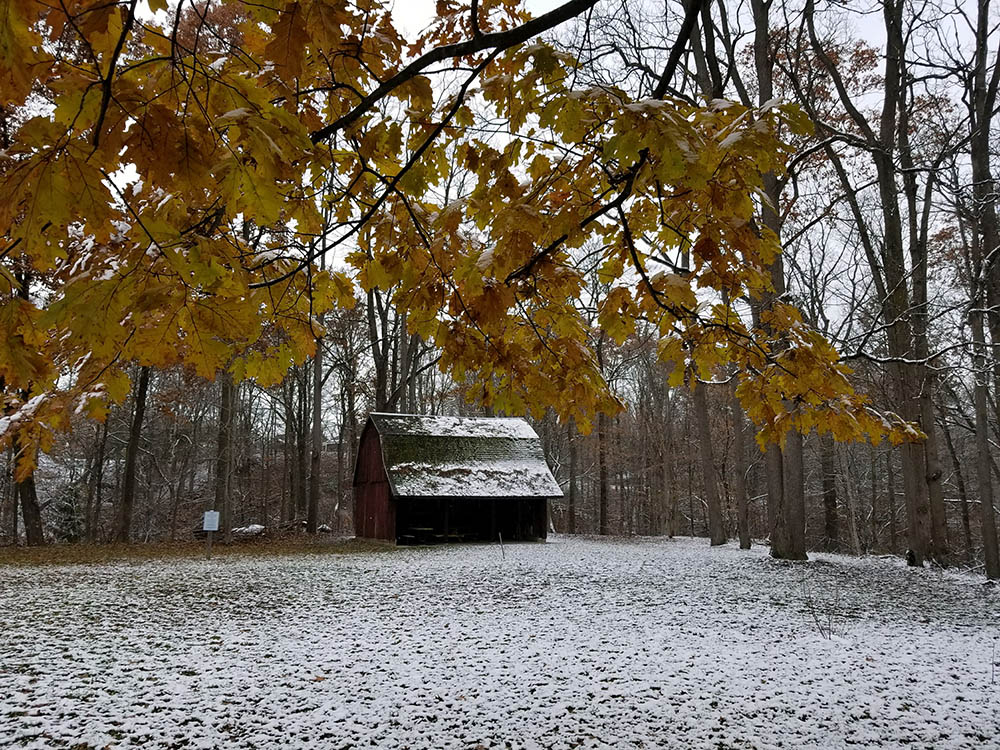 Mill Stream Conservation Area