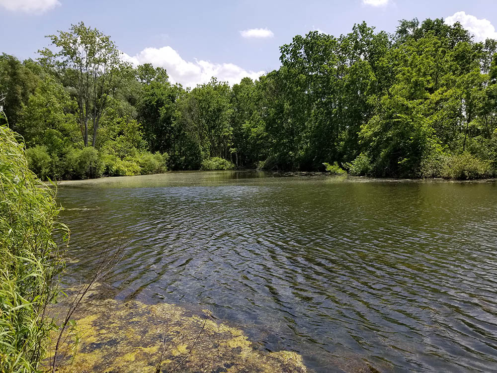 fishing pond