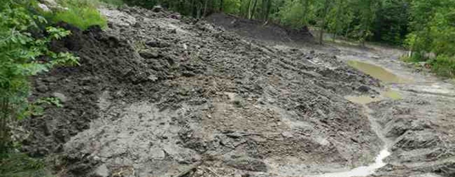 Rowsom’s Tilbury West Conservation Area Wetland Project 2013 in Lakeshore