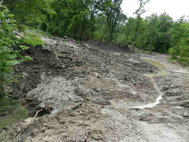 Rowsom’s Tilbury West Conservation Area Wetland Project 2013 in Lakeshore