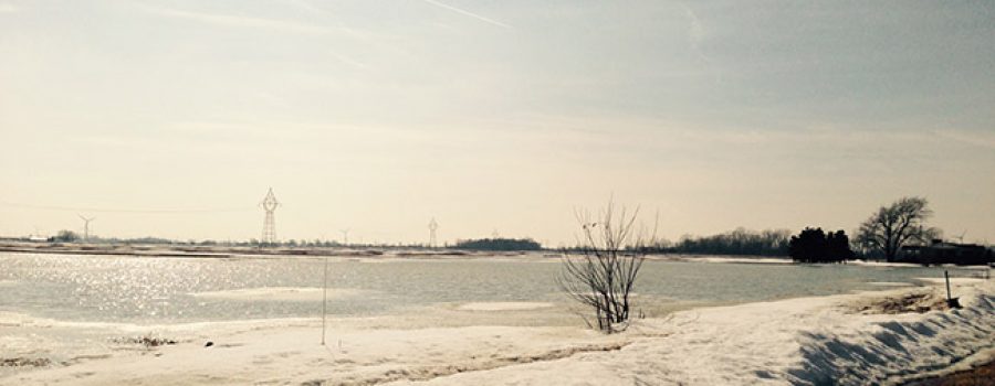 Flooded Field in Lakeshore March 15 2015