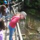 Outdoor Education Programs at Longwoods Road Conservation Area!