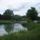 $40,000 granted to LTVCA for watershed-wide wetland restorations