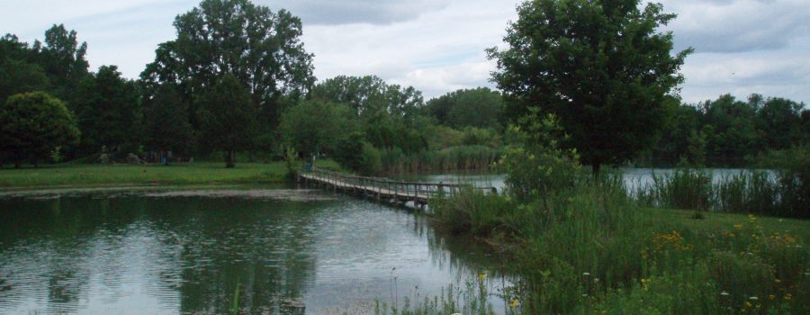 $40,000 granted to LTVCA for watershed-wide wetland restorations