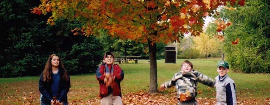 kids in leaves