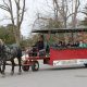 Nov.29 An Afternoon Full of Family Activities to Leave You in the Winter Spirit! “Season’s Greetings” from Longwoods Road Conservation Area and  Ska-Nah-Doht Village and Museum!