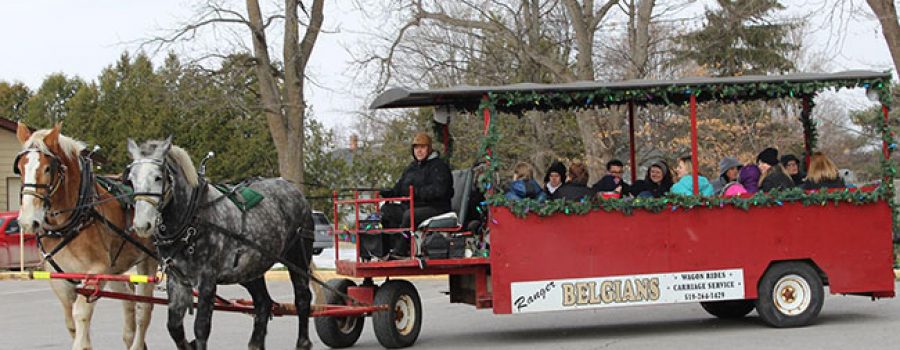 horse drawn wagon ride