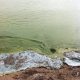 Canada and Ontario Extend Public Consultations on Draft Action Plan to Reduce Harmful Algal Blooms in Lake Erie