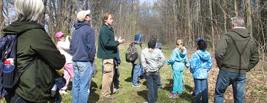 march break hike at Longwoods