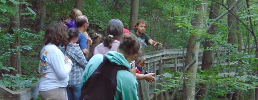 guided evening hike