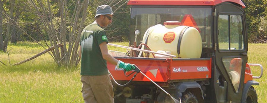 Spraying sumac at Sharon Creek