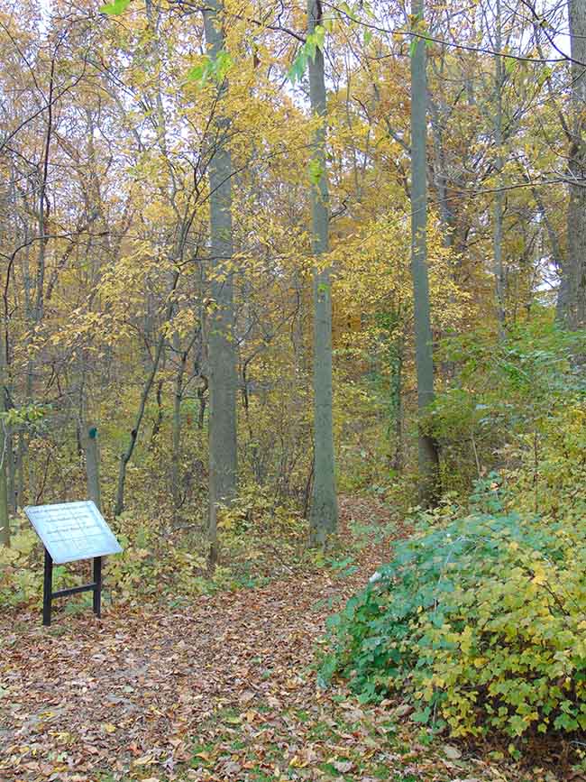 Carey Trail entrance/exit