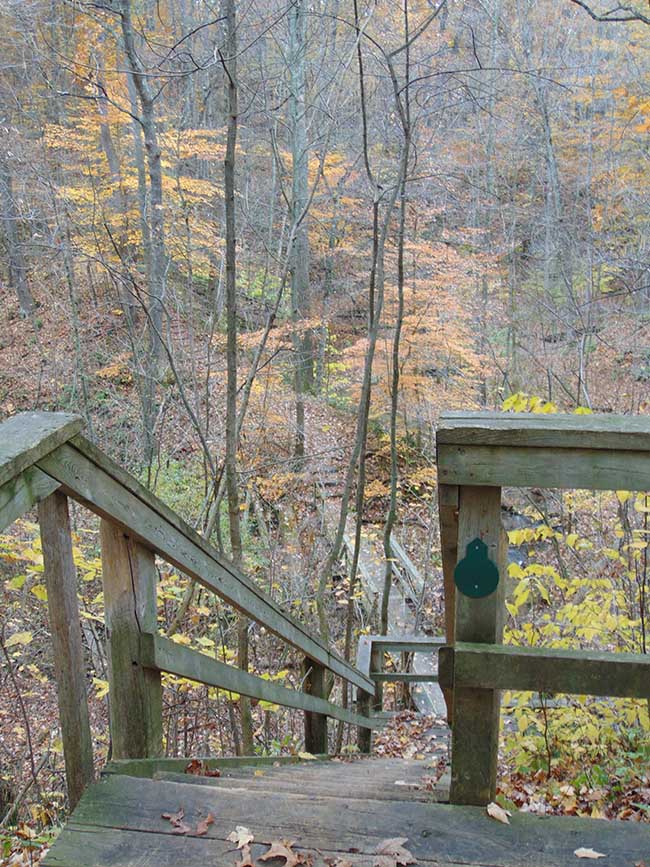 Carey Trail stairway