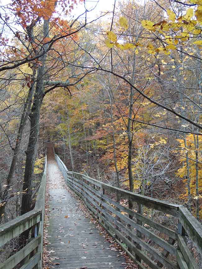 Carey Trail heading over trestle bridge