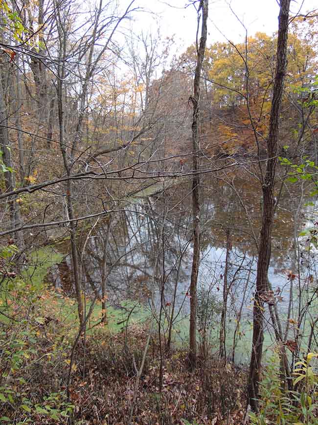 Eastwood Trail overlooking pond