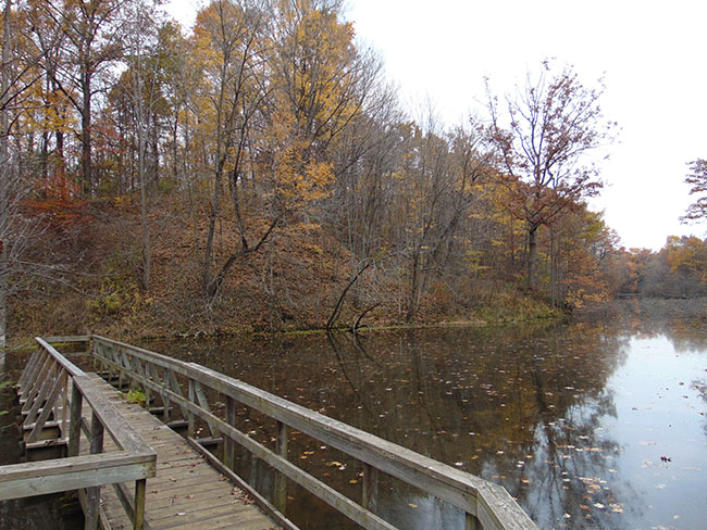 Eastwood Trail pond view from deck