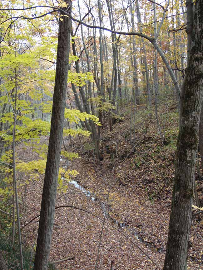 Millstream Trail overlooking streambed