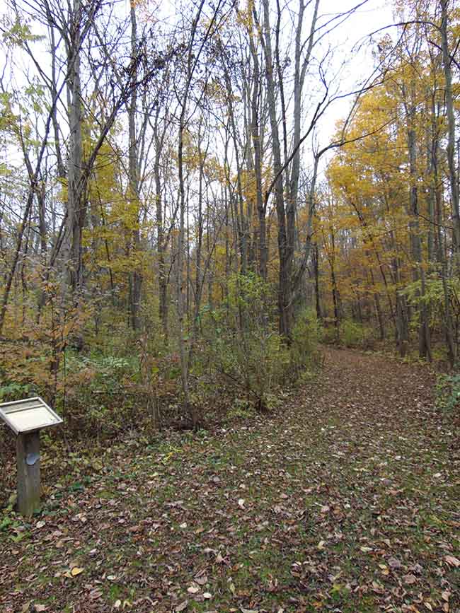 Pondview Trail entrance