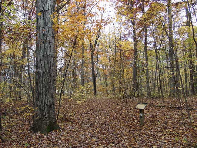 Wesrwood Trail entrance from Carey Trail