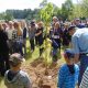 “Fall Memorial Forest Dedication Services to be Held in September” Remembering Loved Ones Through a Living Tree Memorial