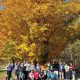 “Fall experiential learning activities”  Outdoor Education Programs at Longwoods Road Conservation Area!