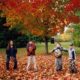 “Fall Hours at Longwoods and Ska-Nah-Doht Village”  Lots to do at Longwoods Road Conservation Area!