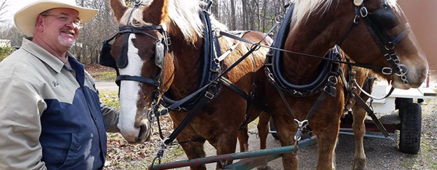 Begium Horse team and wagon ride