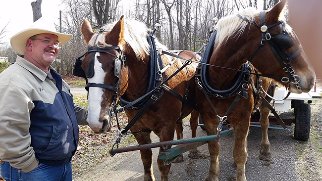 Begium Horse team and wagon ride