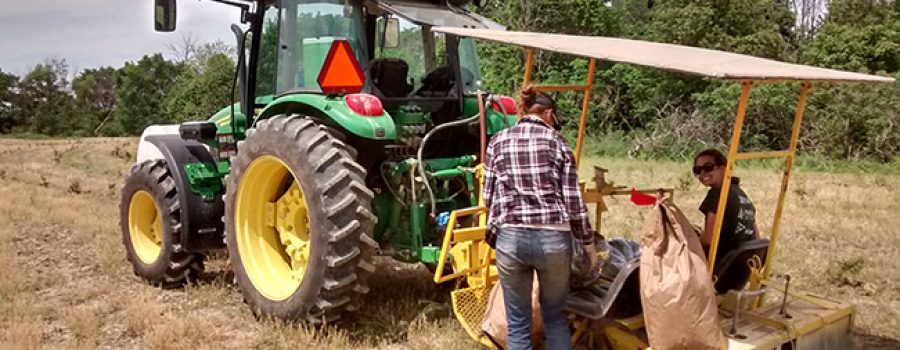 tree planter