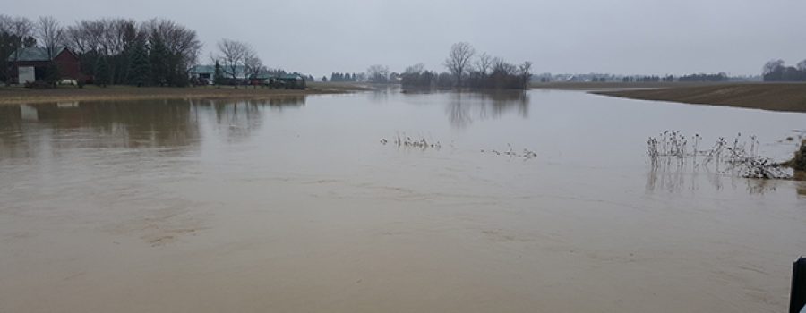 McGregor Creek Flooding March 31, 2017