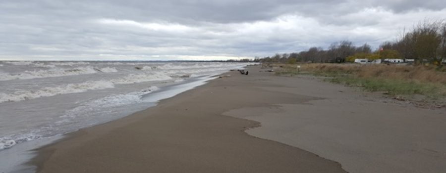 Watershed Conditions – Safety Bulletin – Lake Erie Shoreline – May 16th, 2017 – 2:00 p.m.