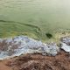 Public Meeting Tonight in Chatham on Lake Erie Phosphorus and Algae