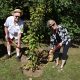 “Fall Memorial Forest Dedication Services to be Held in September” Remembering Loved Ones Through a Living Tree Memorial