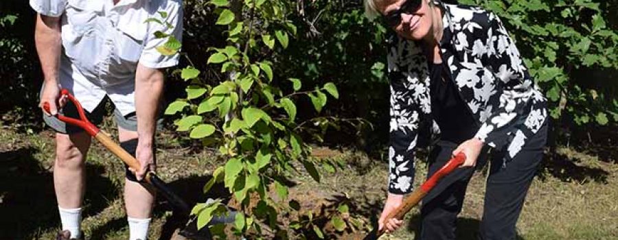 “Fall Memorial Forest Dedication Services to be Held in September” Remembering Loved Ones Through a Living Tree Memorial