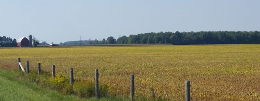 farm field