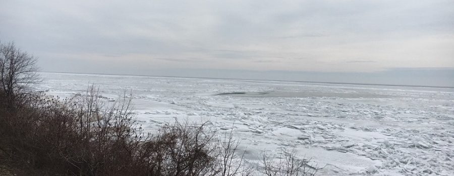Watershed Conditions – Safety Bulletin – Lake Erie Shoreline – February 23, 2019 – 2:30 p.m.