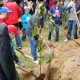 McKinlay Memorial Forest Dedication Service Sept.8 at C.M. Wilson Conservation Area