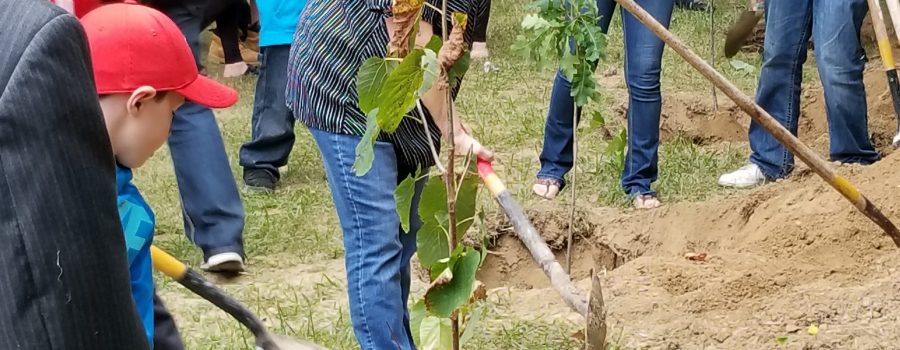 McKinlay Memorial Forest Dedication Service at C.M. Wilson Conservation Area