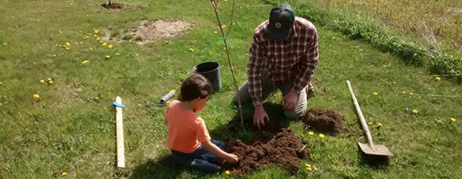 dad and son tree planting