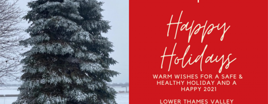 Holiday Hours Card