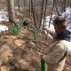 Replacement of Accessible Marsh Boardwalk Underway! Many Partners Contribute to Longwoods Road Conservation Area’s Trail Upgrade