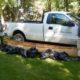 Invasive Species Alert!  LTVCA’s SAR Team and Wetland Restoration Technician Help Prevent Ecological Damage to McGregor Creek by Removing Water Lettuce