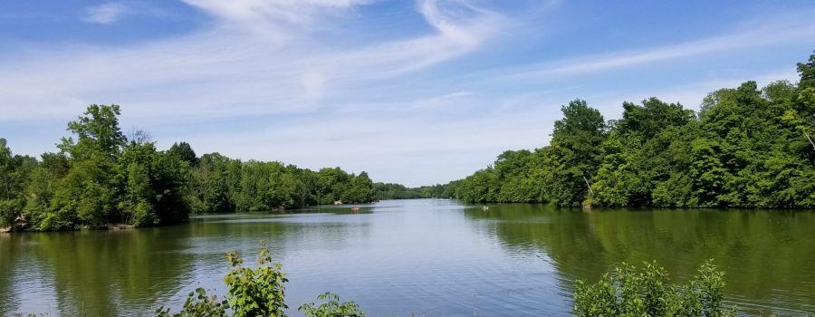 Sharon Creek Conservation Area reservoir