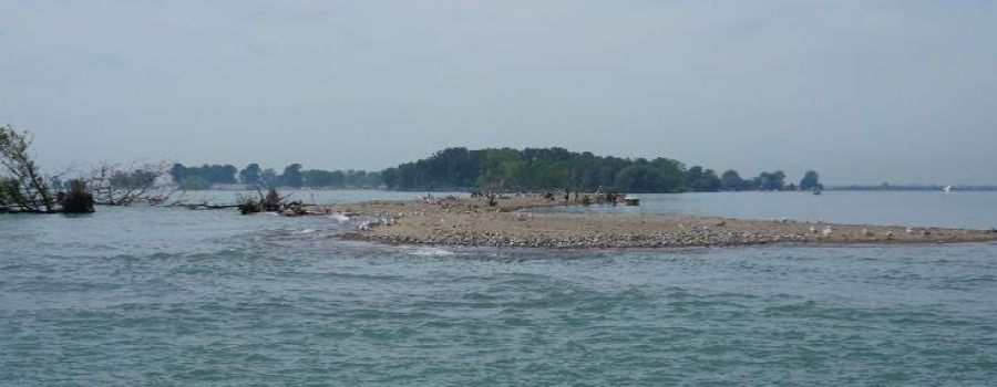 Rondeau Bay Barrier Beach