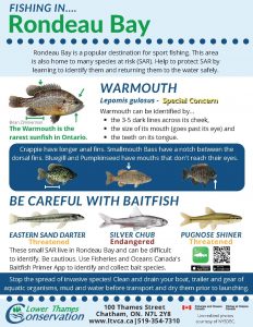 Fishing in Rondeau Bay flyer