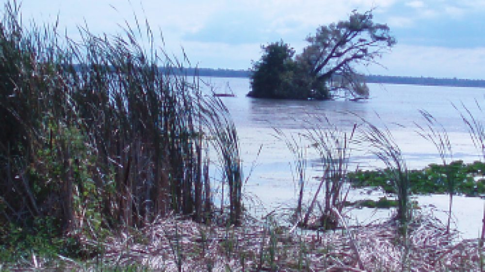 Rondeau Bay Marshes Banner