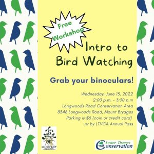 Intro to Bird Watching poster