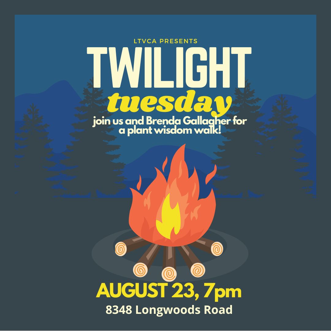 "Plant Wisdom Walk" with Brenda Gallagher at Twilight Tuesday Lower