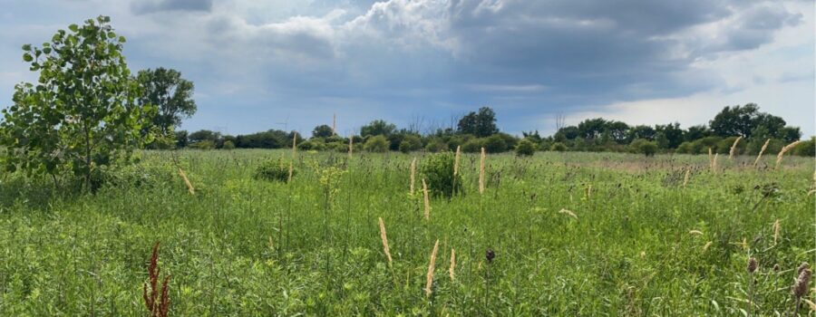 Cultivating Conservation Tour Myslik property
